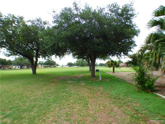 3319 Country Club Dr N, Edinburg, TX 78542 - view of green lawn
