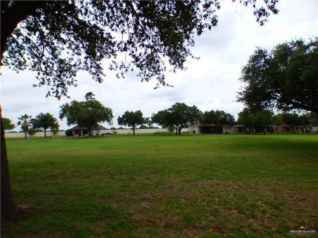 3319 Country Club Dr N, Edinburg, TX 78542 - view of grassy yard
