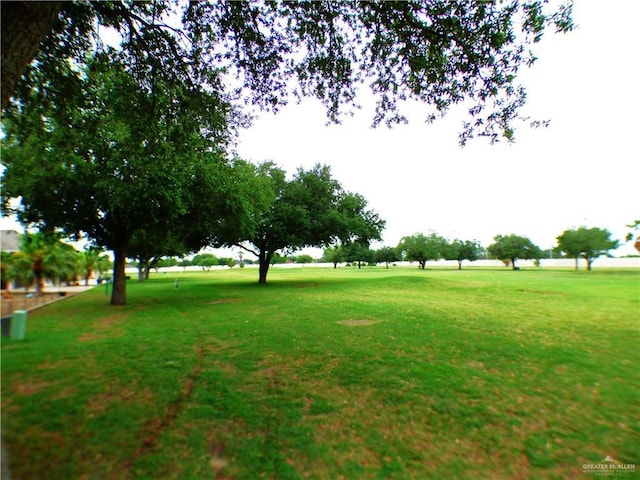 3319 Country Club Dr N, Edinburg, TX 78542 - view of grassy yard