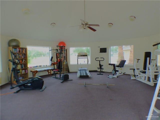 3319 Country Club Dr N, Edinburg, TX 78542 - gym featuring ceiling fan, carpet floors, and lofted ceiling