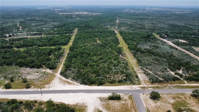 60 E Falcon Trl, Rio Grande City, TX 78582