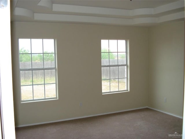 719 W Sherryl Ave, Pharr, TX 78577 - unfurnished room featuring carpet floors, a tray ceiling, and baseboards