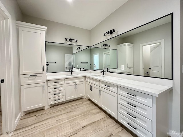 bathroom with hardwood / wood-style floors and vanity