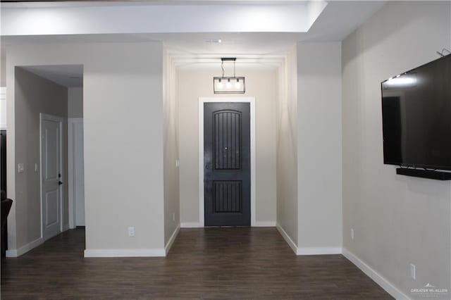 entrance foyer with dark hardwood / wood-style flooring