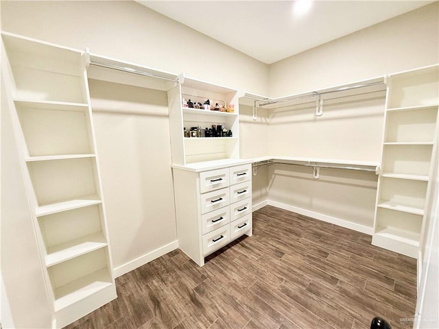 walk in closet with dark hardwood / wood-style flooring