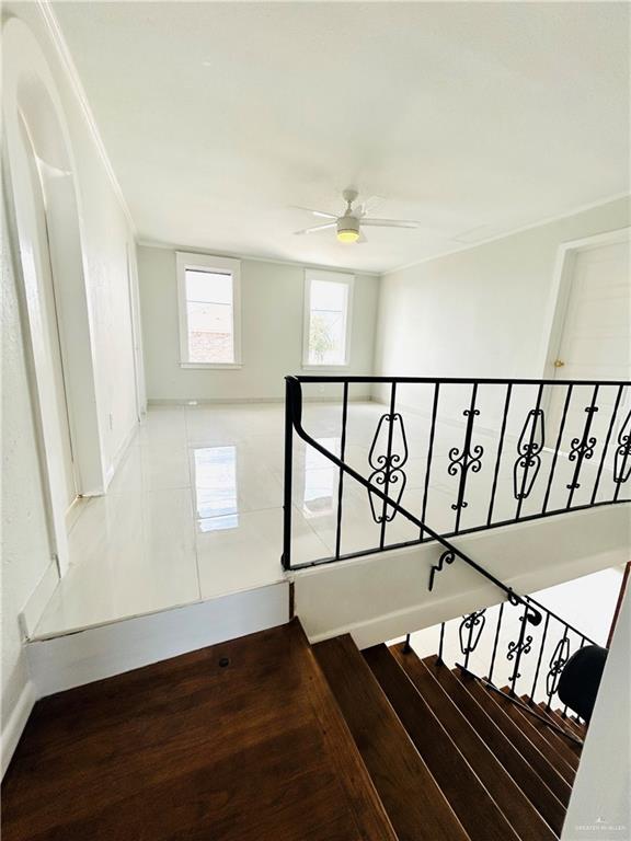 staircase featuring wood-type flooring and ceiling fan