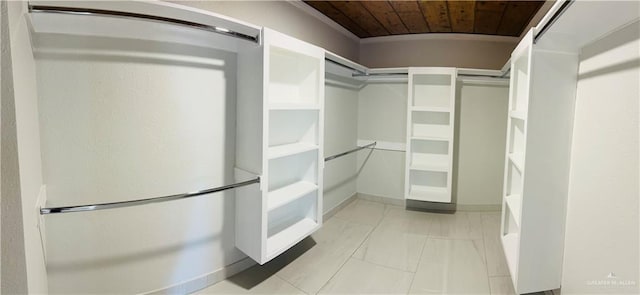 view of spacious closet