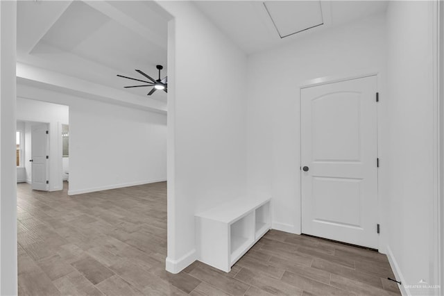 mudroom with ceiling fan and light hardwood / wood-style floors