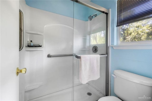 bathroom with toilet and a shower with shower door