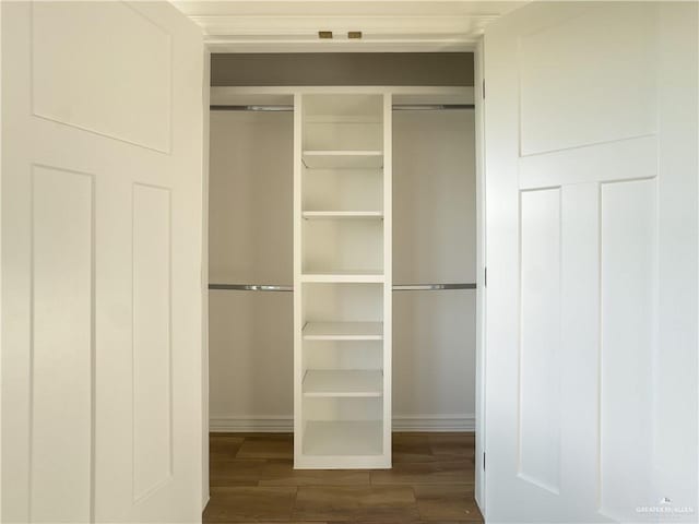 2413 N Woody St, Edinburg, TX 78541 - view of closet