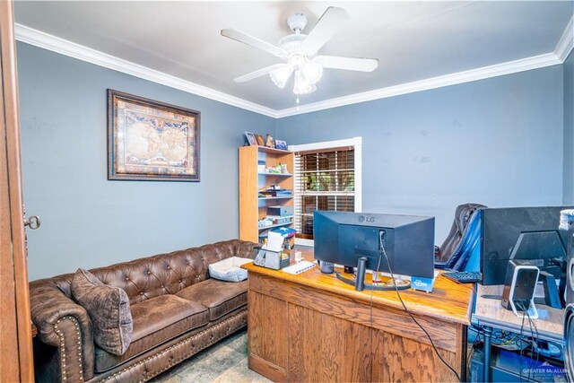 949 S Gumwood St, La Villa, TX 78562 - photo 14