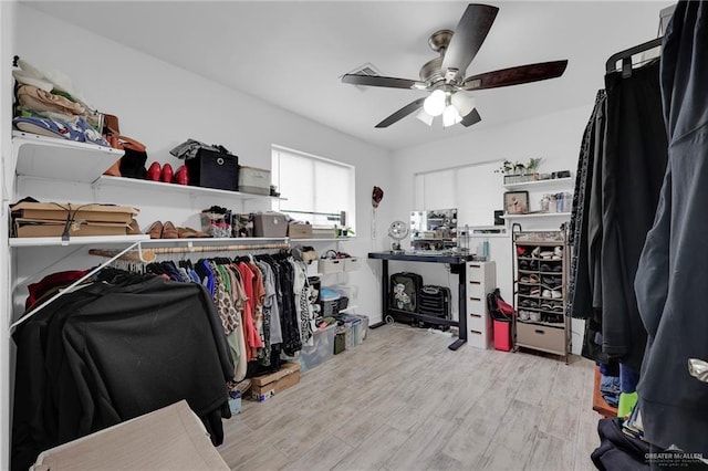 117 W Hawk Ave, Pharr, TX 78577 - spacious closet with a ceiling fan and wood finished floors
