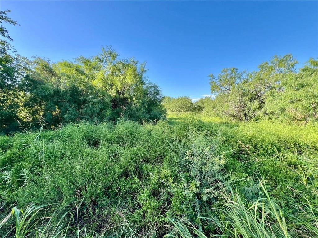 0000 Scoggins Rd, La Feria, TX 78559