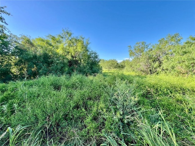 0000 Scoggins Rd, La Feria, TX 78559