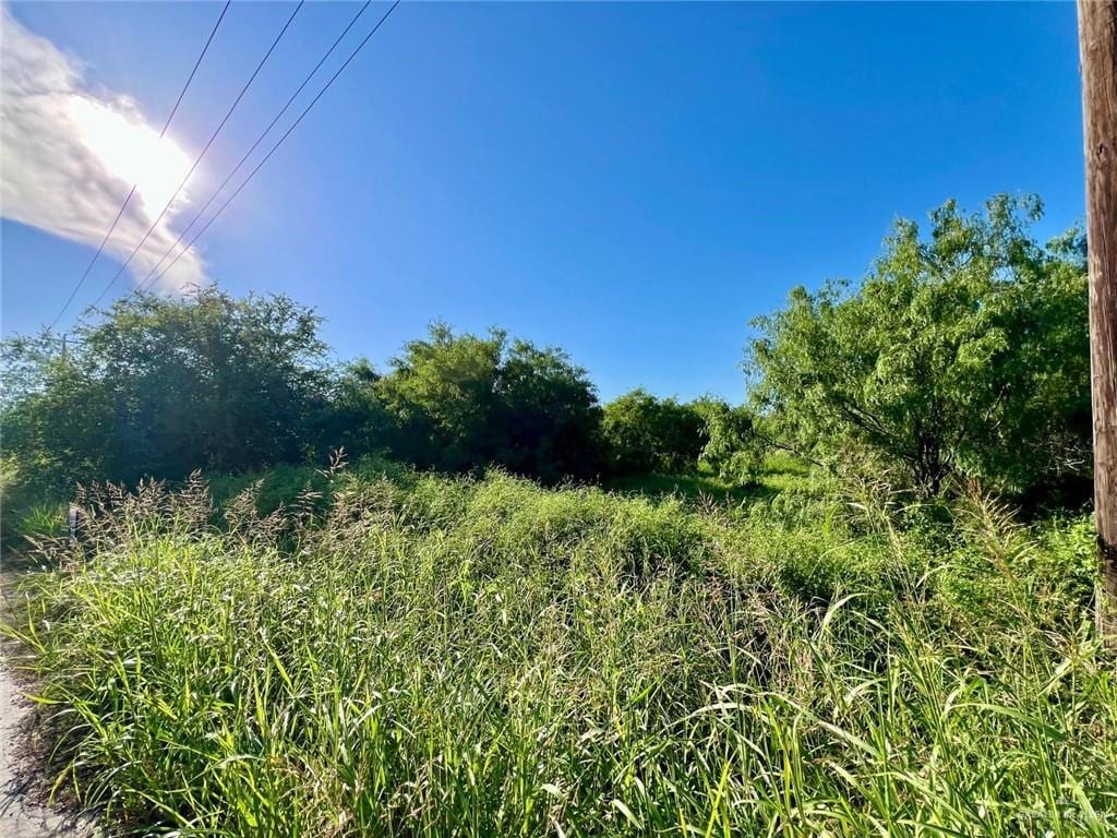 0000 Scoggins Rd, La Feria, TX 78559