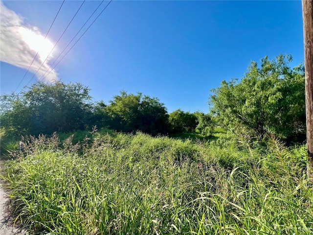 0000 Scoggins Rd, La Feria, TX 78559