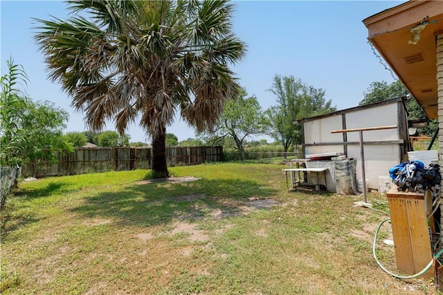 905 N 6th Ave, Edinburg, TX 78541 - view of yard