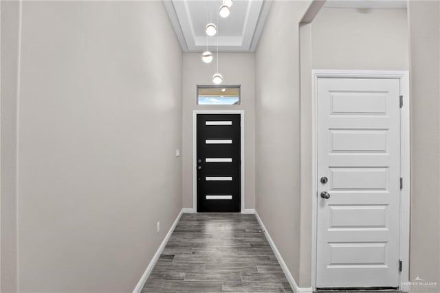 doorway to outside with a tray ceiling and dark wood-type flooring