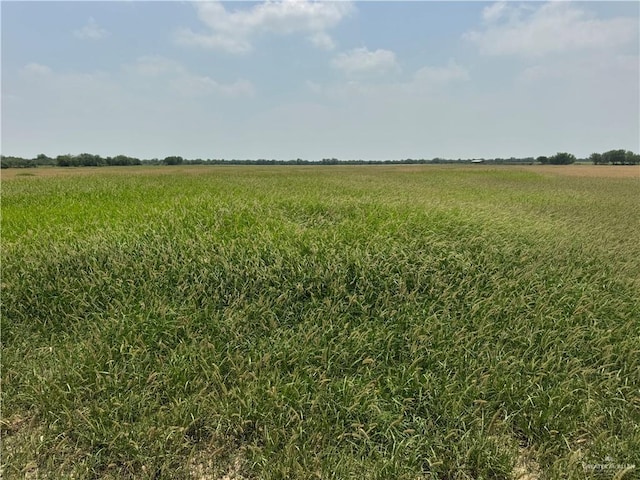 39001 Mile 14th Rd, Edinburg, TX 78541 - photo 9