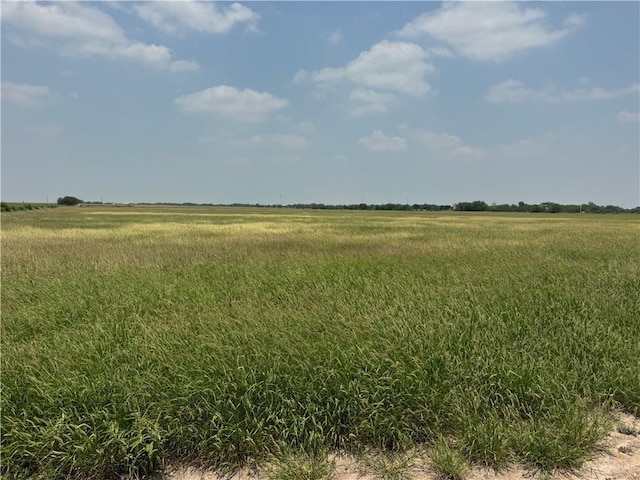 39001 Mile 14th Rd, Edinburg, TX 78541 - photo 7