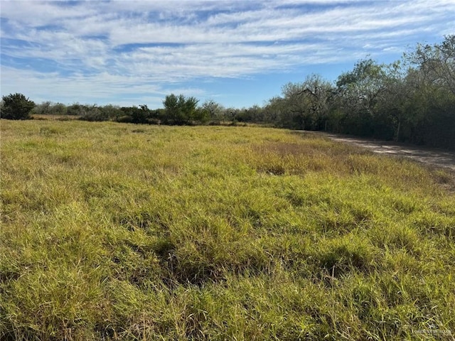 39001 Mile 14th Rd, Edinburg, TX 78541 - photo 5
