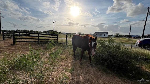 view of yard with a rural view