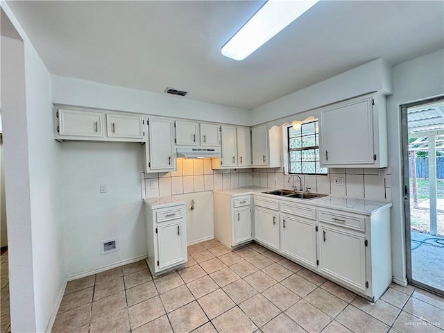 1313 Royal Palm St, Alamo, TX 78516 - kitchen featuring a sink, white cabinets, and plenty of natural light