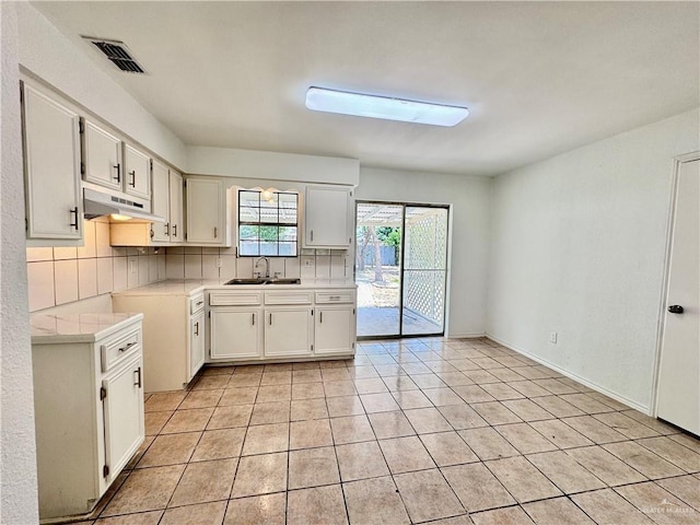 1313 Royal Palm St, Alamo, TX 78516 - kitchen with a sink, under cabinet range hood, light countertops, and tasteful backsplash