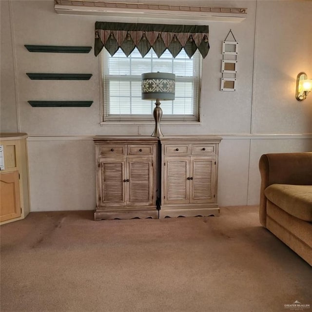 unfurnished room with light colored carpet