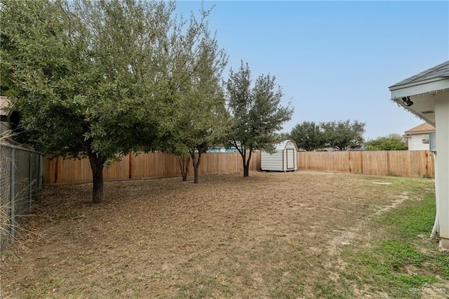 view of yard featuring a shed