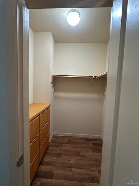 spacious closet featuring dark hardwood / wood-style flooring