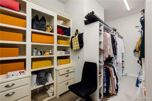 spacious closet with light colored carpet