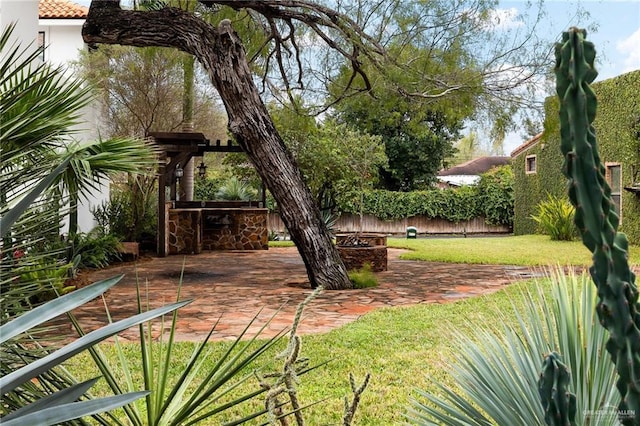 view of yard with a patio area