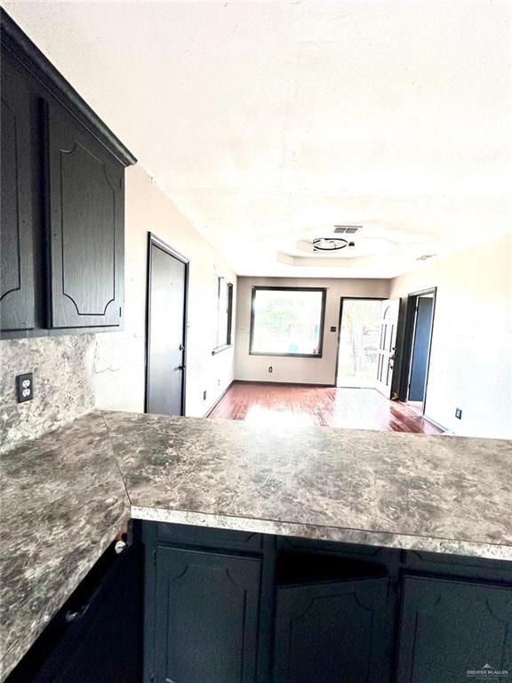 kitchen with decorative backsplash and wood-type flooring