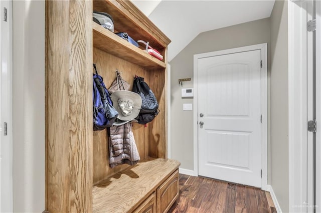 2504 Wernecke Ave, Mission, TX 78574 - mudroom with dark wood finished floors, lofted ceiling, and baseboards