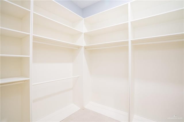 view of walk in closet