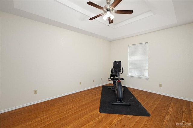 workout area with hardwood / wood-style floors, a tray ceiling, and ceiling fan