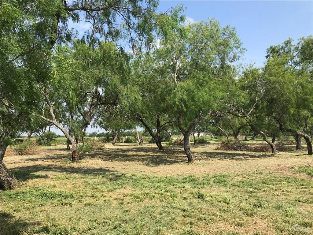 27188 Fm 88th Rd, Edcouch, TX 78538 - photo 4