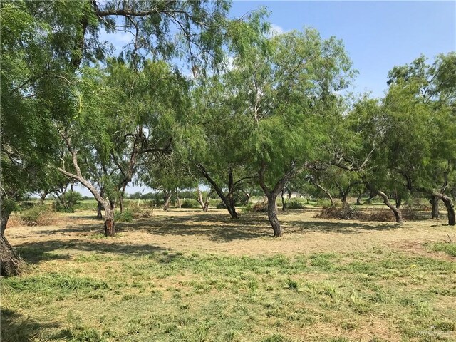 27188 Fm 88th Rd, Edcouch, TX 78538 - photo 4