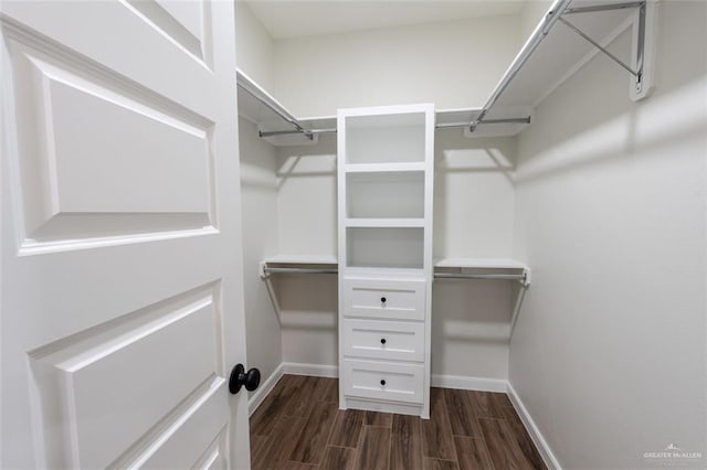 view of walk in closet