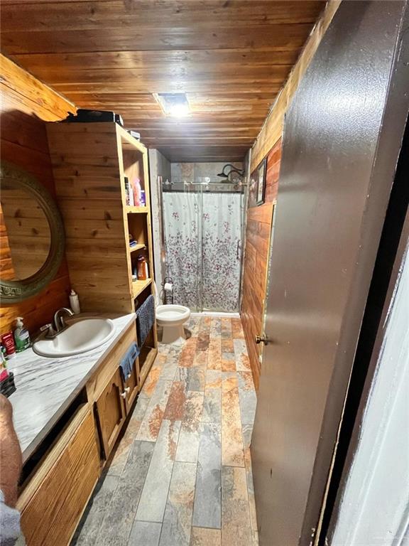 full bathroom featuring wooden ceiling, toilet, a shower, and vanity