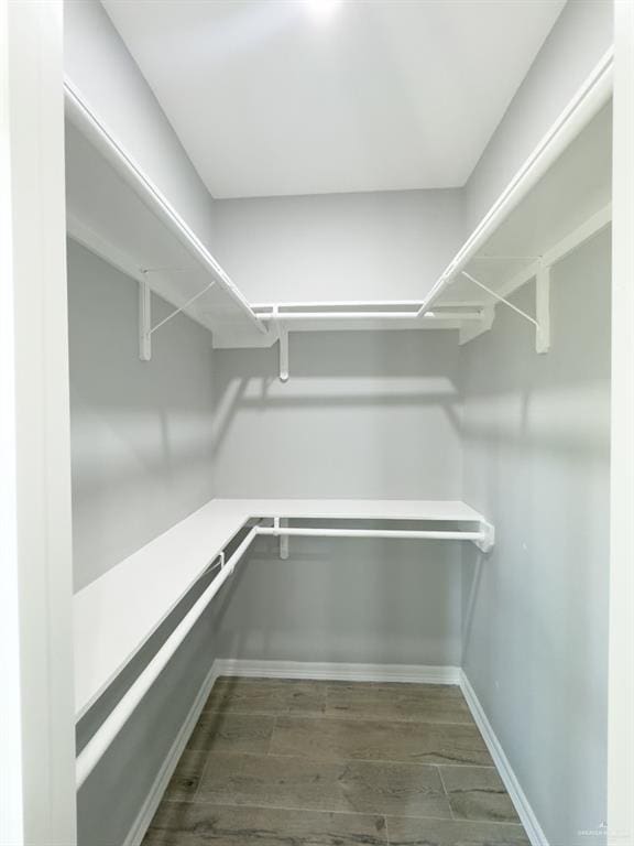 walk in closet with dark hardwood / wood-style floors