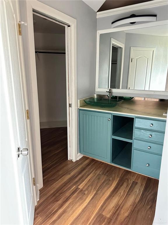 bathroom with wood-type flooring and vanity