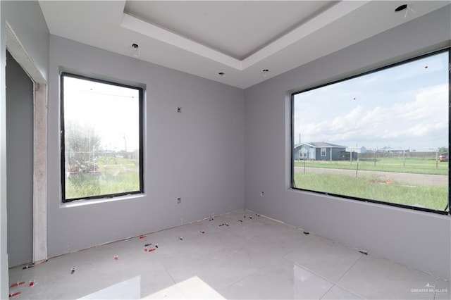 unfurnished room with a tray ceiling