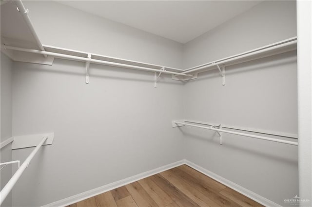 6300 Cascada Bend Rd, Mcallen, TX 78504 - walk in closet featuring wood finished floors