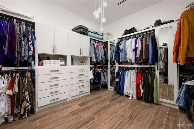 spacious closet with lofted ceiling