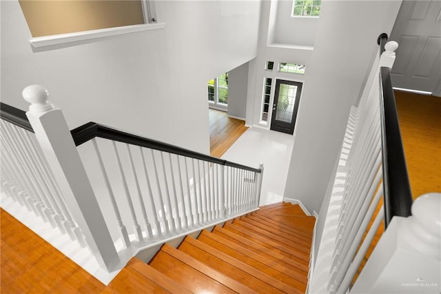 stairs featuring a high ceiling, a healthy amount of sunlight, and wood-type flooring