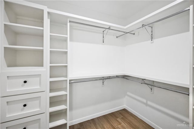 spacious closet featuring dark hardwood / wood-style flooring