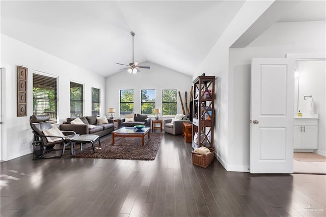 136 W Evergreen St, Boerne, TX 78006 - living area featuring a ceiling fan, wood finished floors, and vaulted ceiling