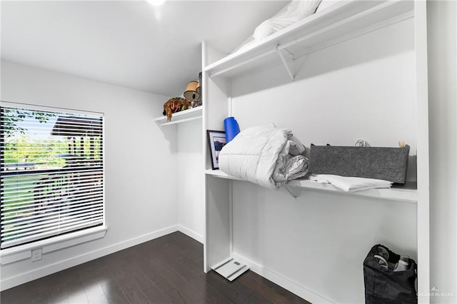 136 W Evergreen St, Boerne, TX 78006 - walk in closet featuring dark wood finished floors